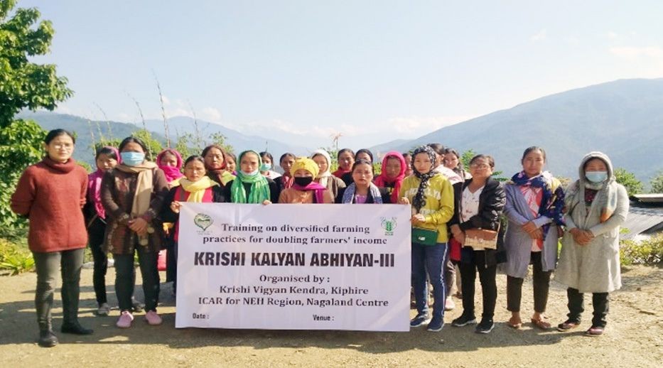 Participants and officials during the training on ‘diversified farming practices for doubling farmers’ income’ conducted by KVK Kiphire from December 19 to 22. (Photo Courtesy: KVK Kiphire)
